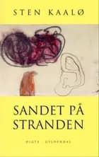 Sandet på stranden af Sten Kaalø
