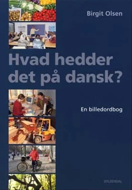 Hvad hedder det på dansk? af Birgit Olsen