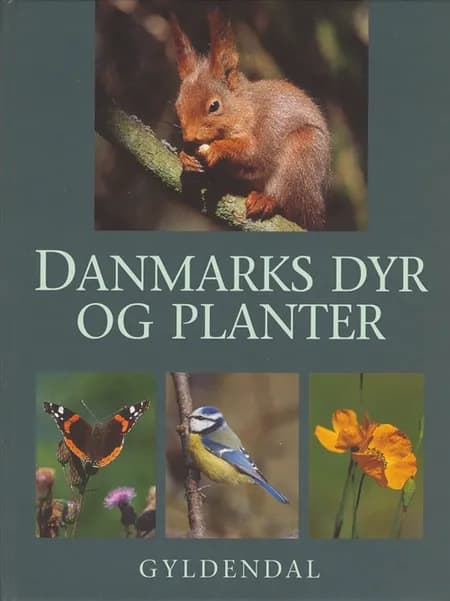 Danmarks dyr og planter af Jon Feilberg