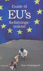 Guide til EU´s forfatningstraktat
