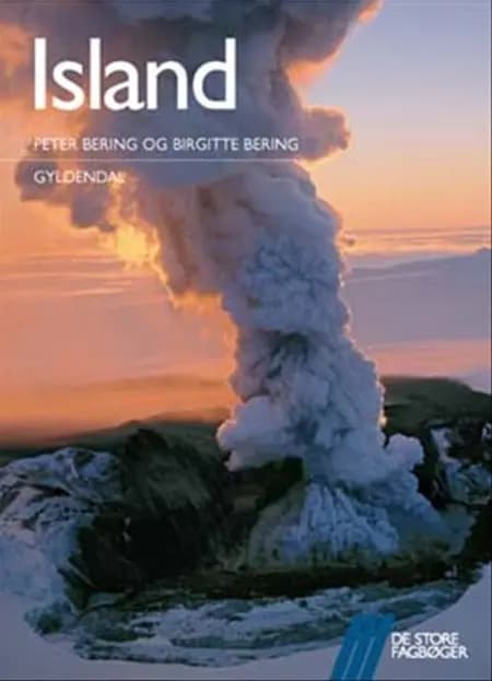 Island af Birgitte Bering