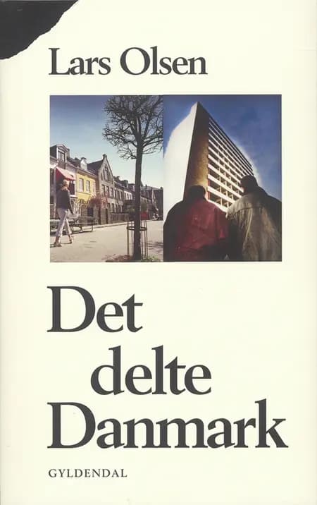 Det delte Danmark af Lars Olsen
