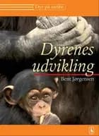 Dyrenes udvikling