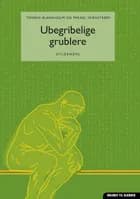 Ubegribelige grublere af Mikael Skånstrøm og Torben Blankholm