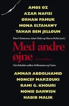 Med andre øjne