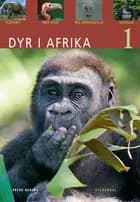 Dyr i Afrika