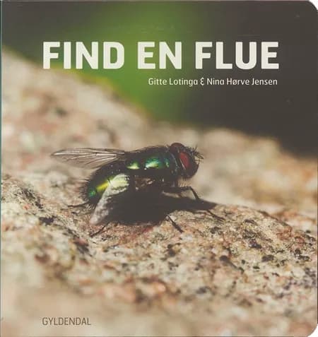 Find en flue af Gitte Lotinga