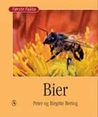 Bier
