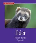 Ilder