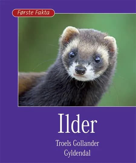 Ilder af Troels Gollander
