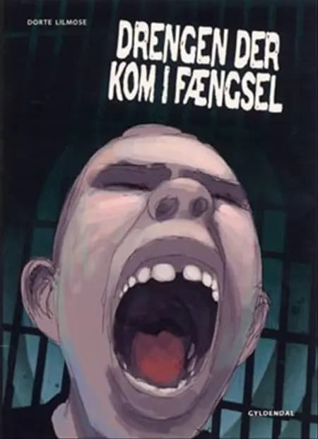 Drengen der kom i fængsel af Dorte Lilmose