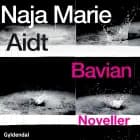 Bavian
