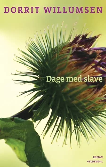 Dage med slave af Dorrit Willumsen