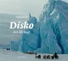 Disko. Den blå bugt