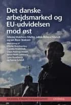 Det danske arbejdsmarked og EU-udvidelsen mod øst