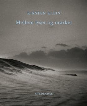 Mellem lyset og mørket af Kirsten Klein