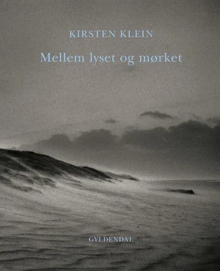 Mellem lyset og mørket af Kirsten Klein