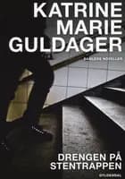 Drengen på stentrappen