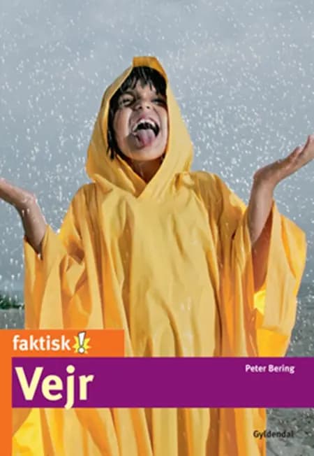 Vejr af Peter Bering