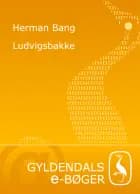 Ludvigsbakke