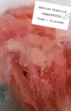 Sommerferie af Katrine Grünfeld