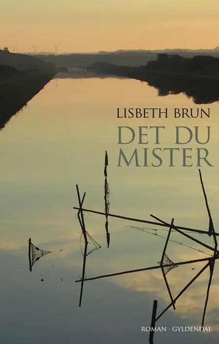 Det du mister af Lisbeth Brun