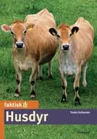 Husdyr