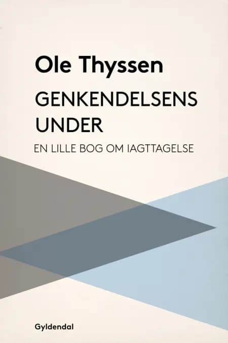 Genkendelsens under af Ole Thyssen