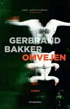 Omvejen
