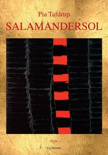 Salamandersol af Pia Tafdrup