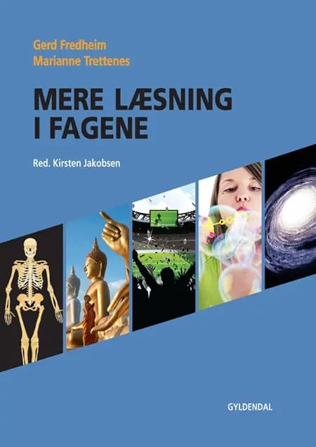 Mere læsning i fagene af Gerd Fredheim