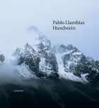 Hundstein af Pablo Llambías