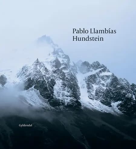 Hundstein af Pablo Llambías
