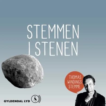 Stemmen i stenen af Thomas Winding