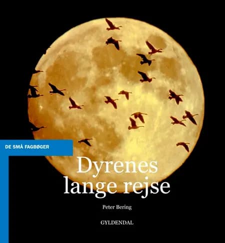 Dyrenes lange rejse af Peter Bering
