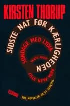 Sidste nat før kærligheden af Kirsten Thorup