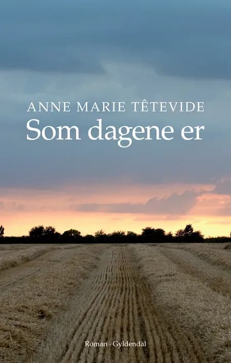 Som dagene er af Anne Marie Têtevide