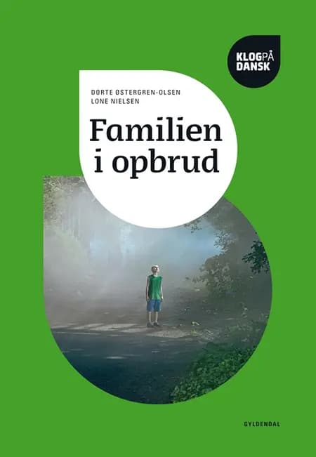 Familien i opbrud af Dorte Østergren-Olsen