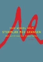 Stormløb mod grænsen af Isak Winkel Holm