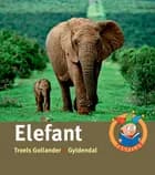 Elefant af Troels Gollander