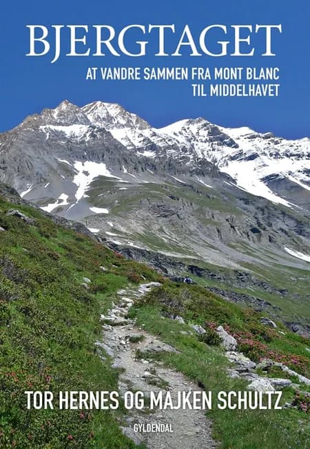Bjergtaget af Majken Schultz
