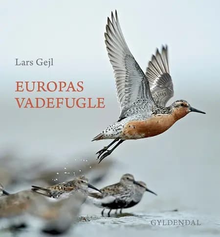 Europas vadefugle af Lars Gejl
