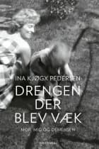 Drengen, der blev væk
