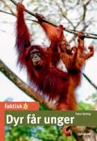 Dyr får unger af Peter Bering