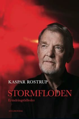 Stormfloden af Kaspar Rostrup