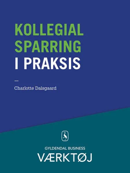 Kollegial sparring i praksis af Charlotte Dalsgaard