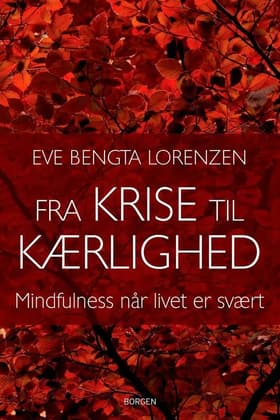 Fra krise til kærlighed af Eve Bengta Lorenzen