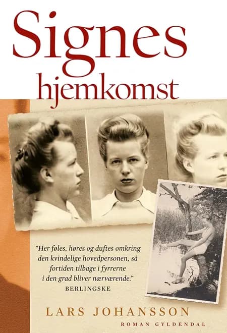 Signes hjemkomst af Lars Johansson