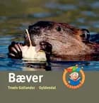 Bæver
