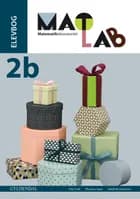 Matlab - matematiklaboratoriet 2b af Thomas Kaas, Ole Freil og Heidi Kristiansen